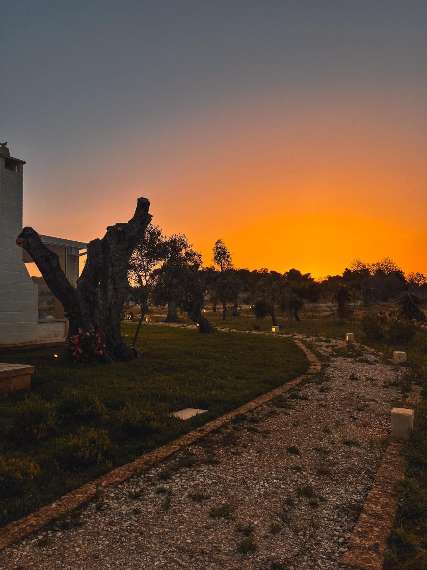 Lizzanello San Lorenzo Camere&Suites المظهر الخارجي الصورة