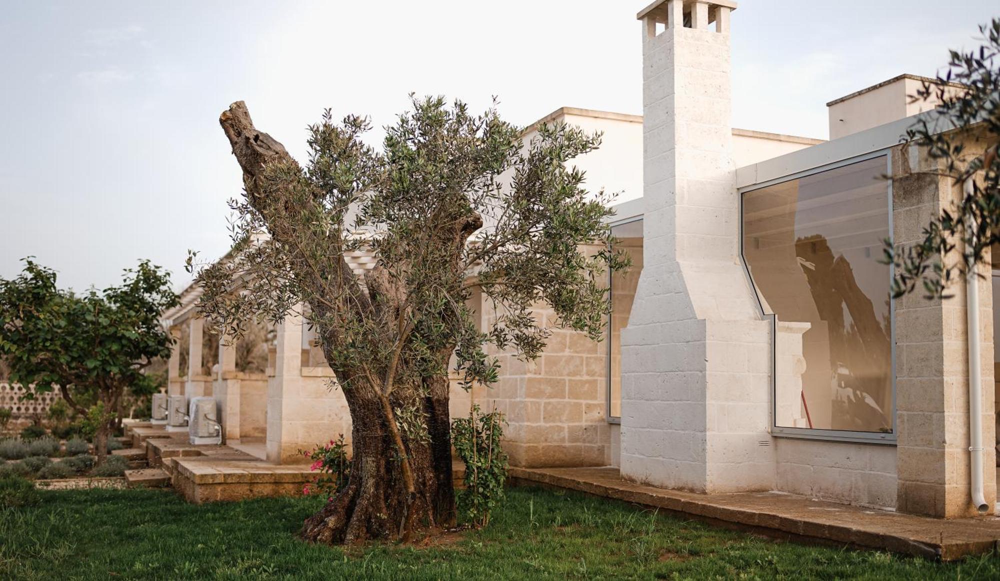 Lizzanello San Lorenzo Camere&Suites المظهر الخارجي الصورة